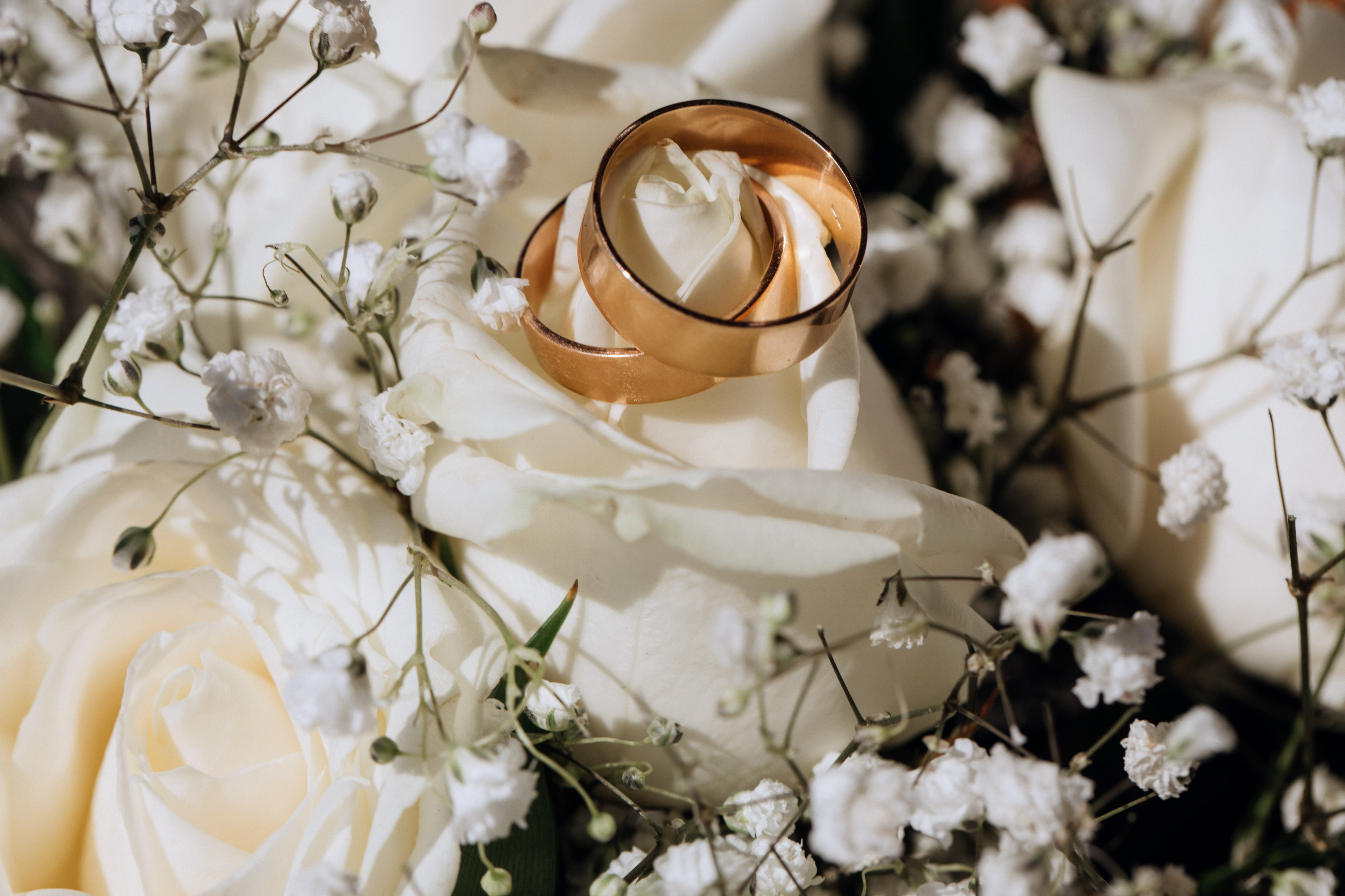 Couple's engagement photoshoot